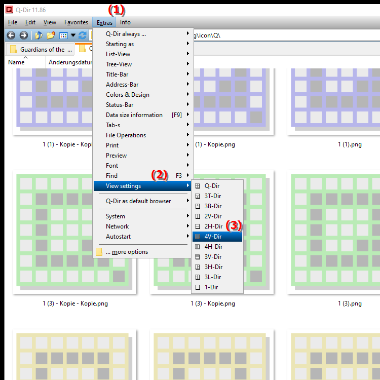 What is the 4V Dir Quad File Explorer view